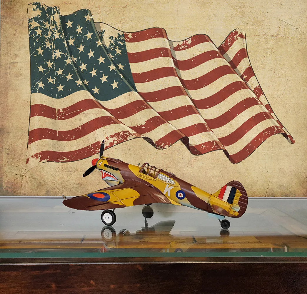 1941 Curtiss Hawk 81A Metal Handmade Scaled Model