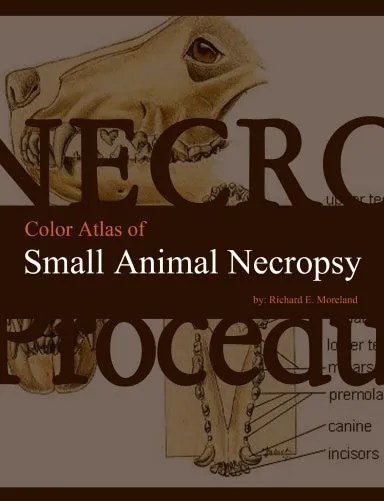 Color Atlas of Small Animal Necropsy