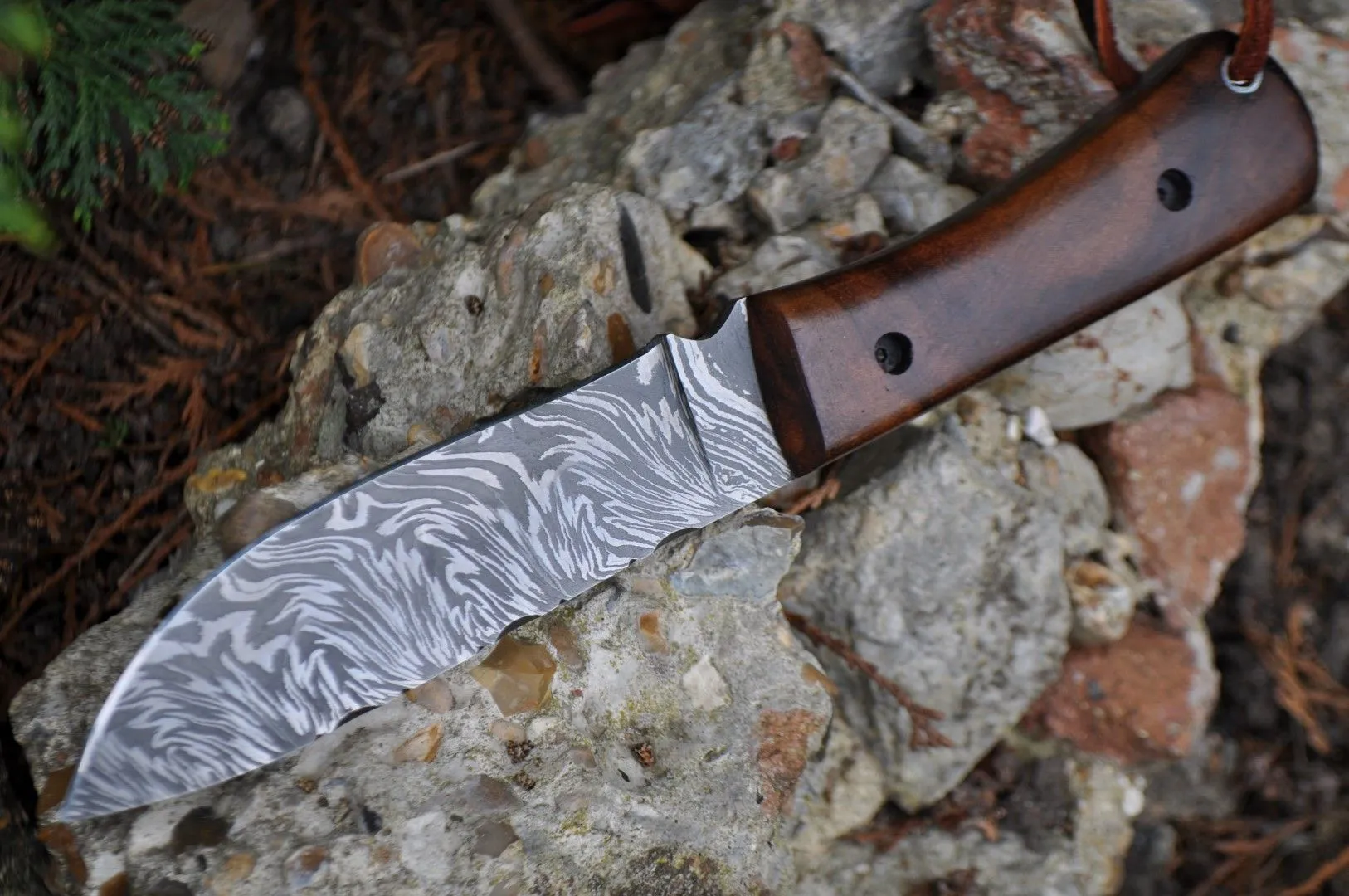 Damascus Bushcraft & Hunting Knife - Unique Burl Wood Handle
