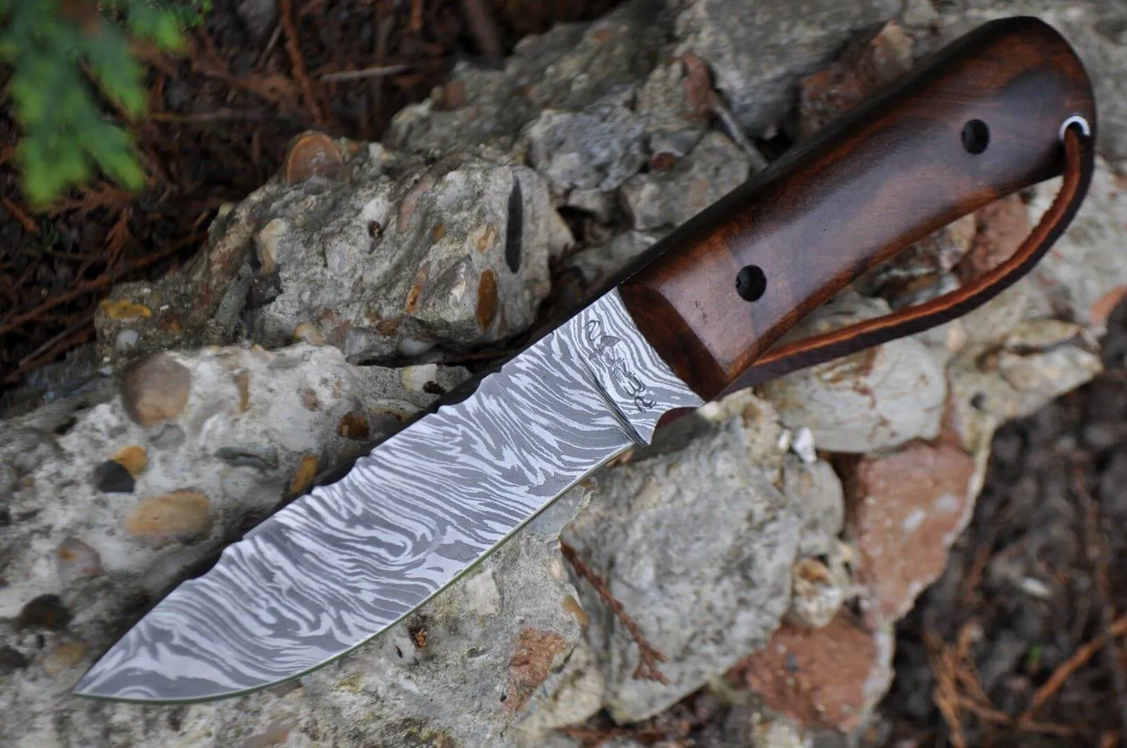 Damascus Bushcraft & Hunting Knife - Unique Burl Wood Handle