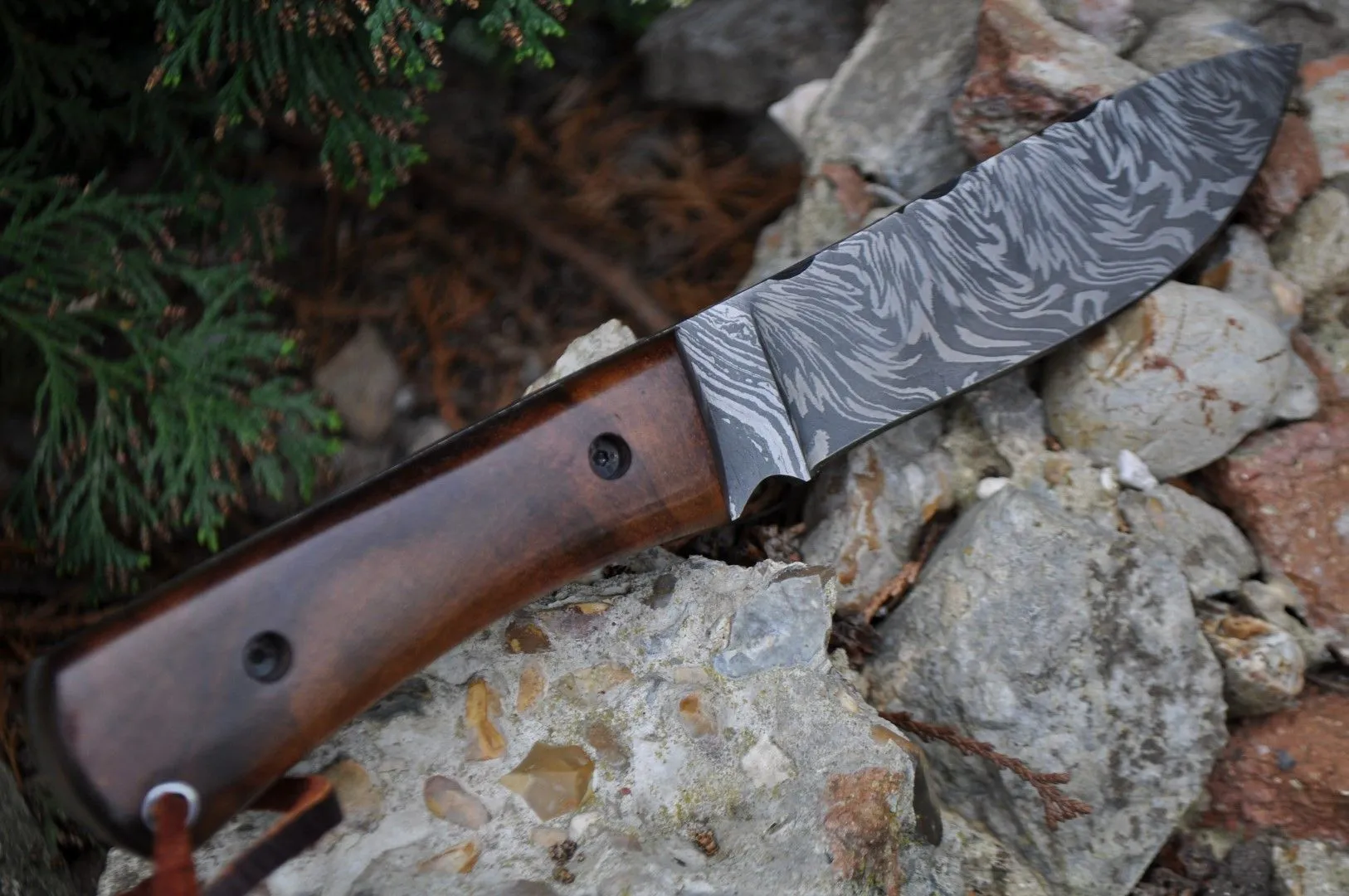 Damascus Bushcraft & Hunting Knife - Unique Burl Wood Handle