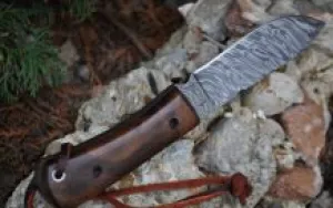 Damascus Bushcraft & Hunting Knife - Unique Burl Wood Handle