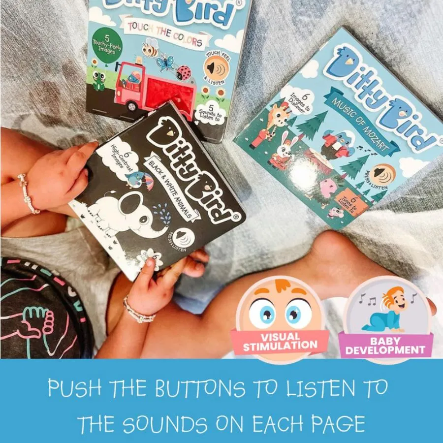 Ditty Bird - Touch the Colours Board Book