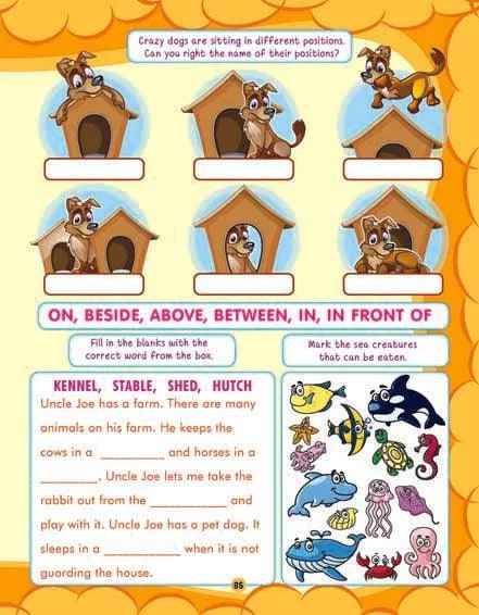 Dreamland 505 Activities - An Interactive & Activity Book For Kids (English)