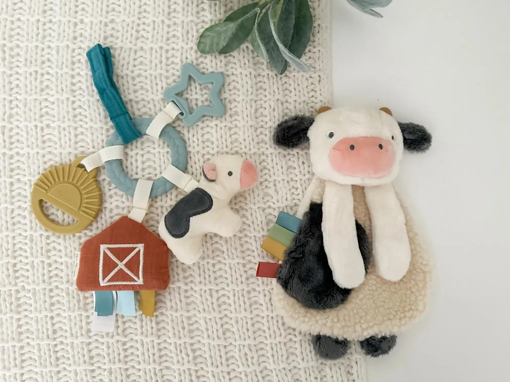 Farm Bitzy Busy Gift Set
