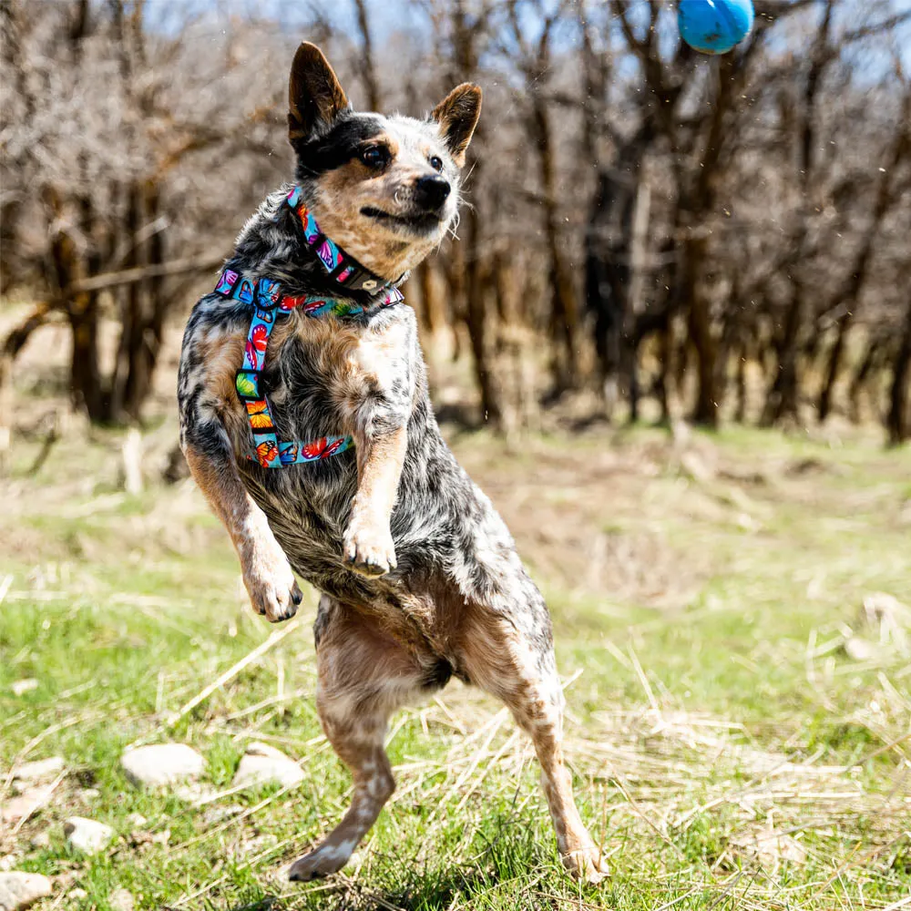 FlutterColor COMFORT DOG HARNESS
