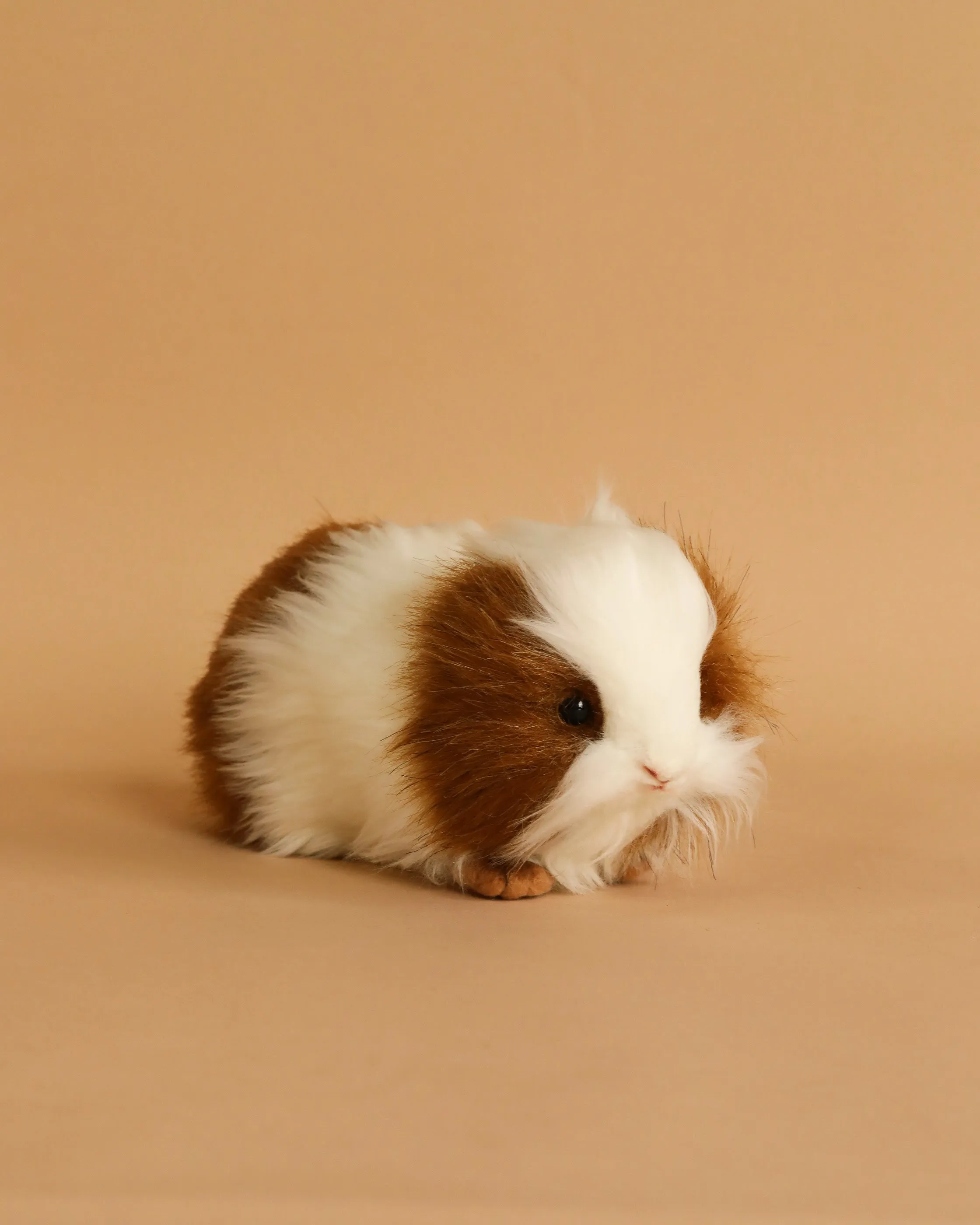 Guinea Pig Stuffed Animal