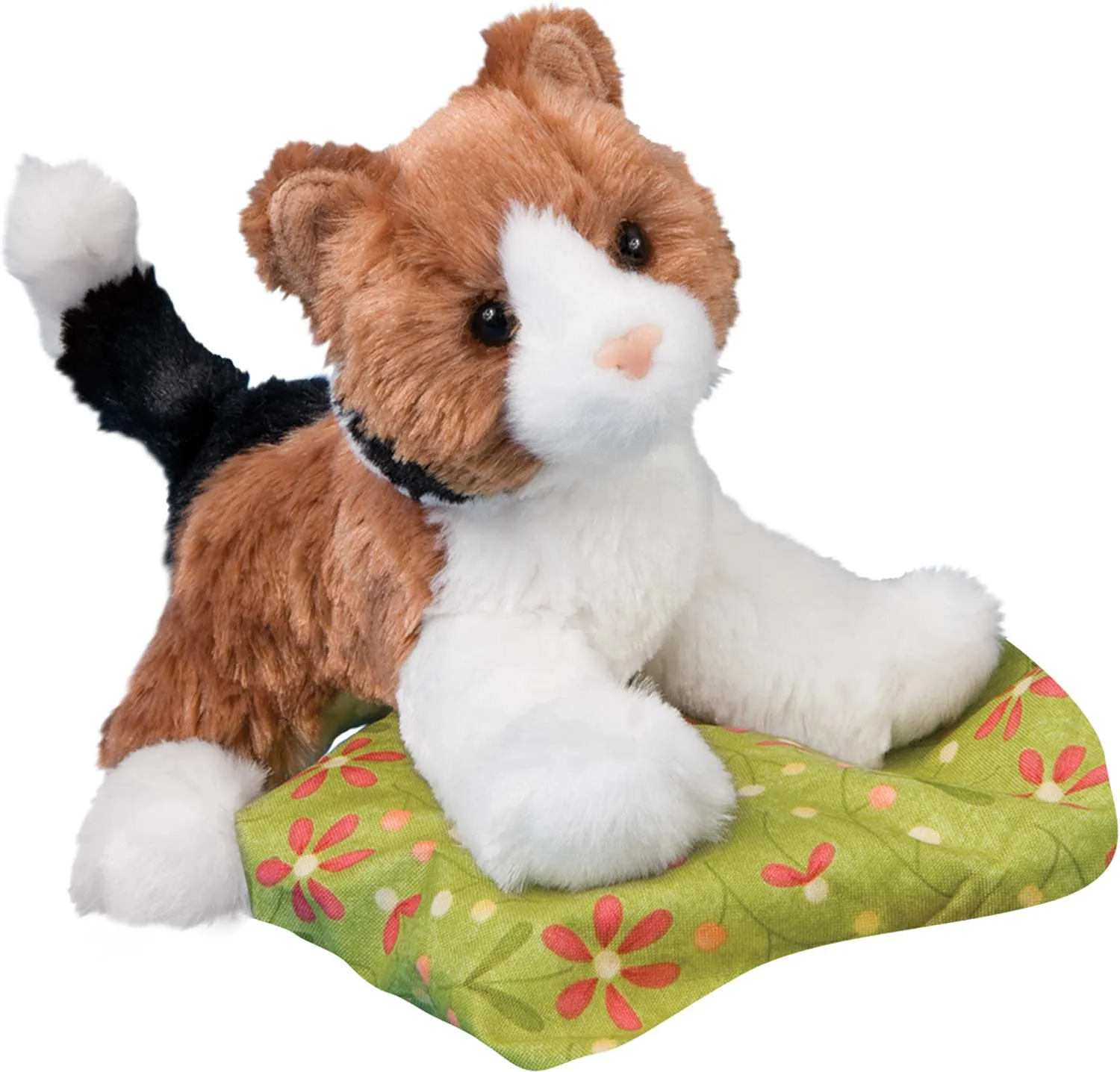 Maps Calico Cat