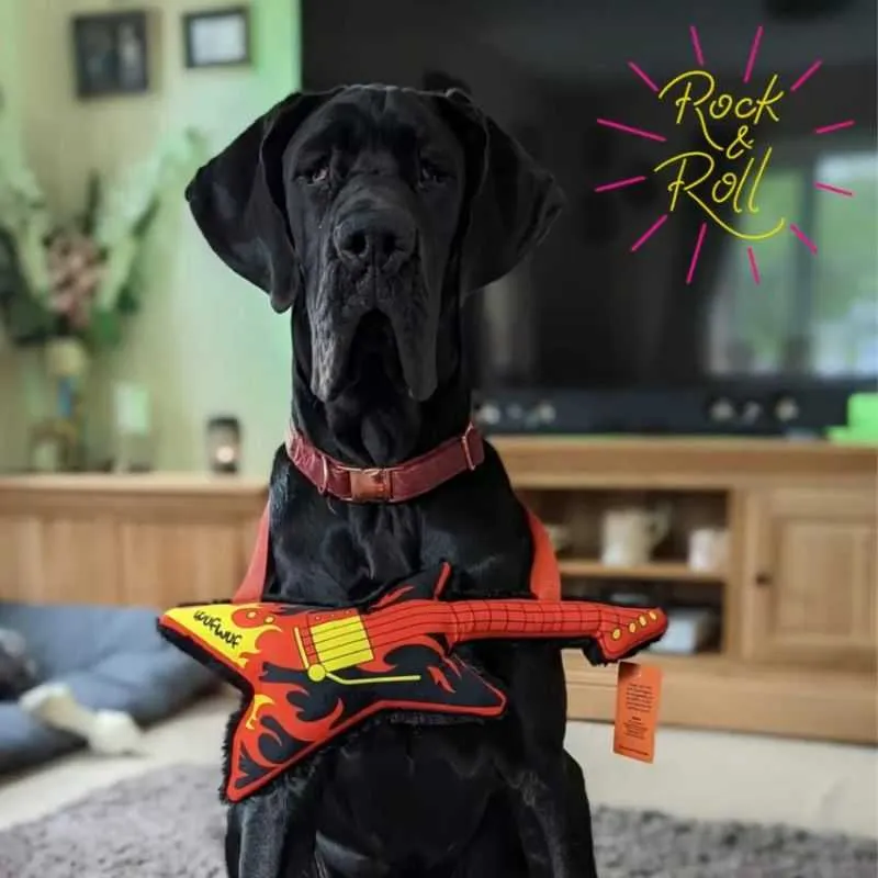 Microphone and Guitar Dog Toy Set