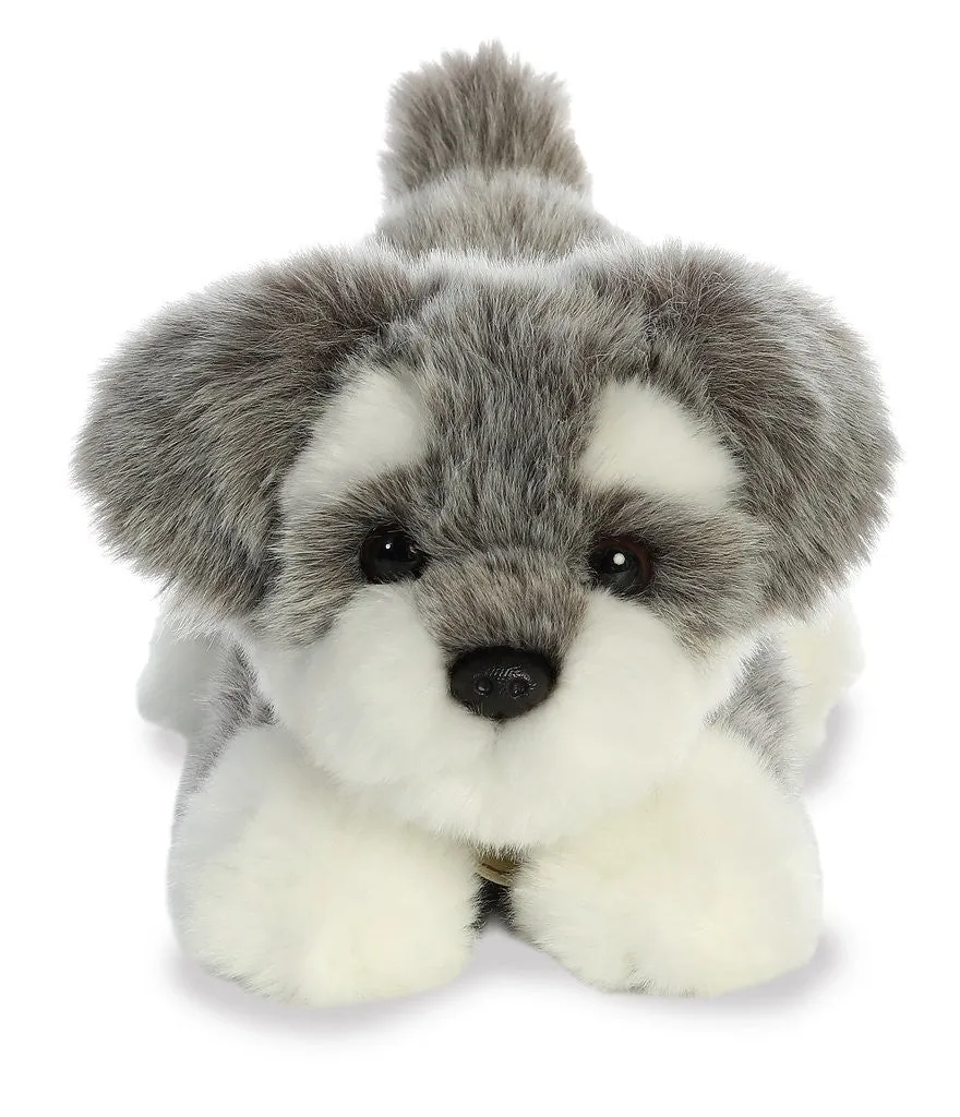 Schnauzer Pup