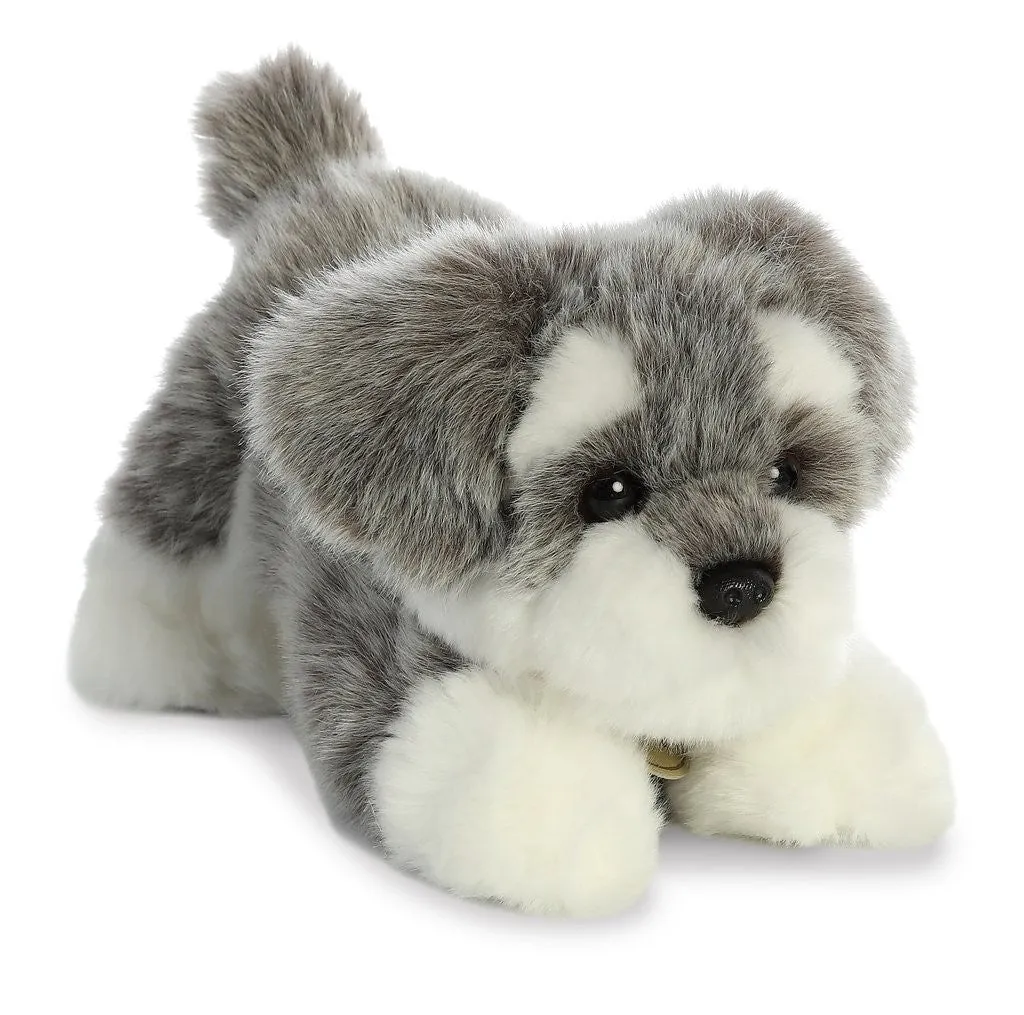 Schnauzer Pup