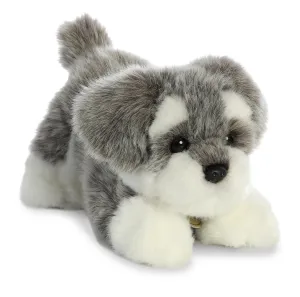 Schnauzer Pup