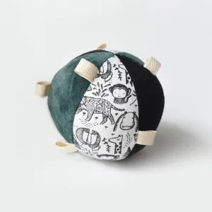 Taggy Ball with Rattle Wild