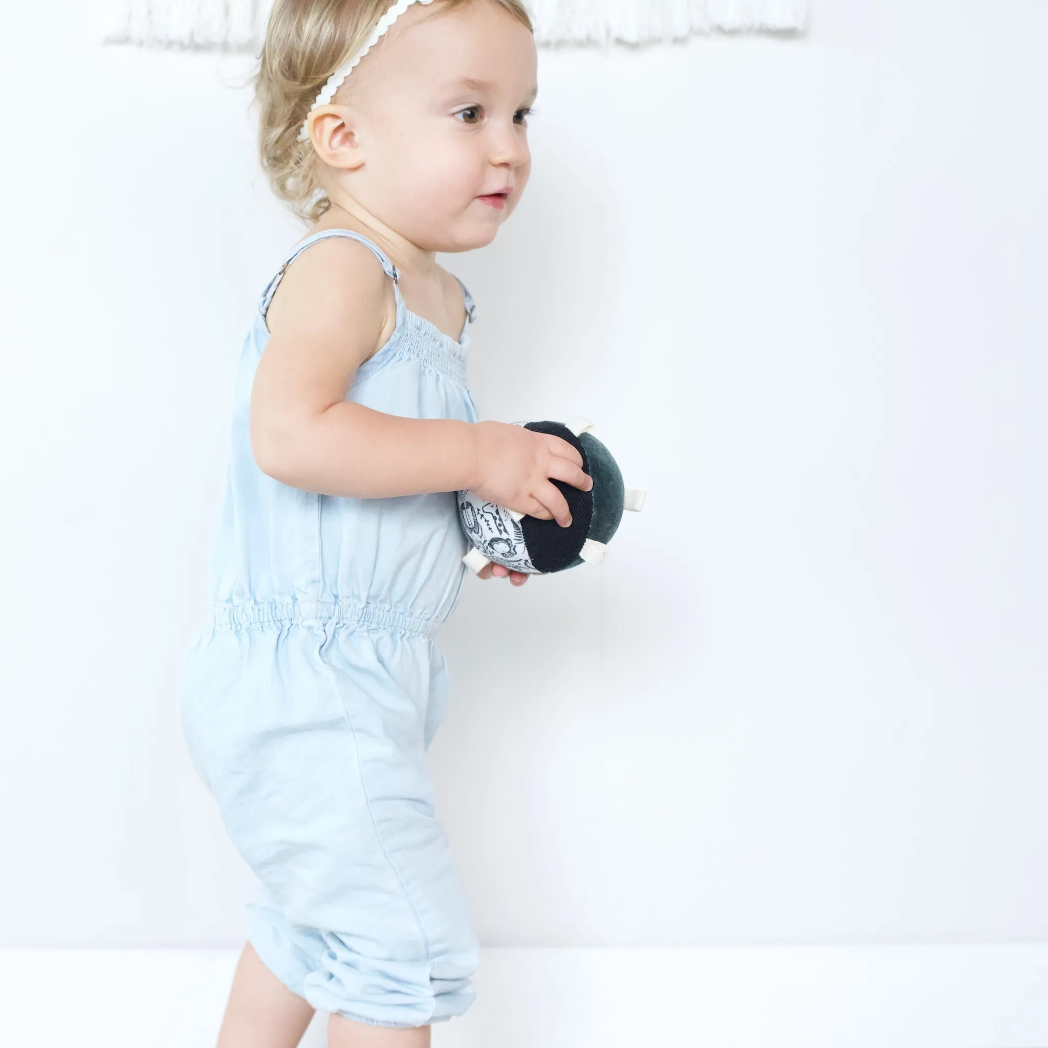 Taggy Ball with Rattle Wild