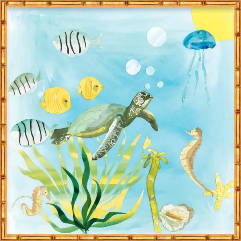 Turtle Time
