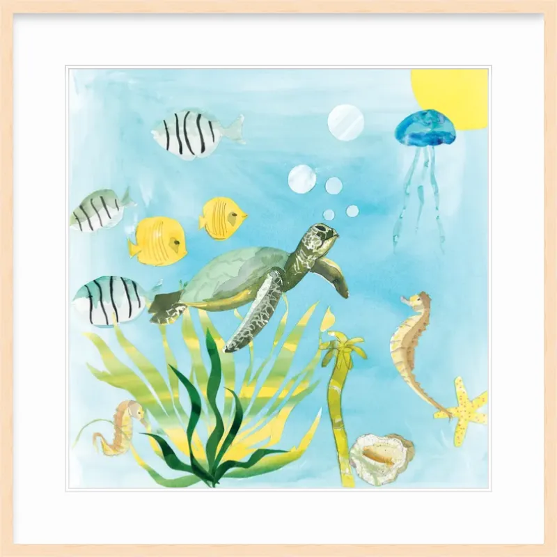 Turtle Time
