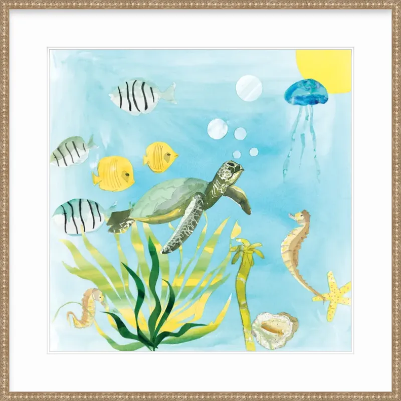 Turtle Time