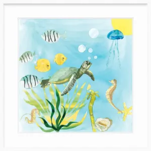 Turtle Time