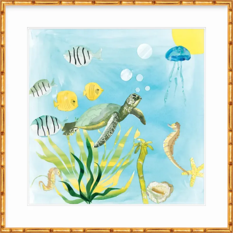 Turtle Time