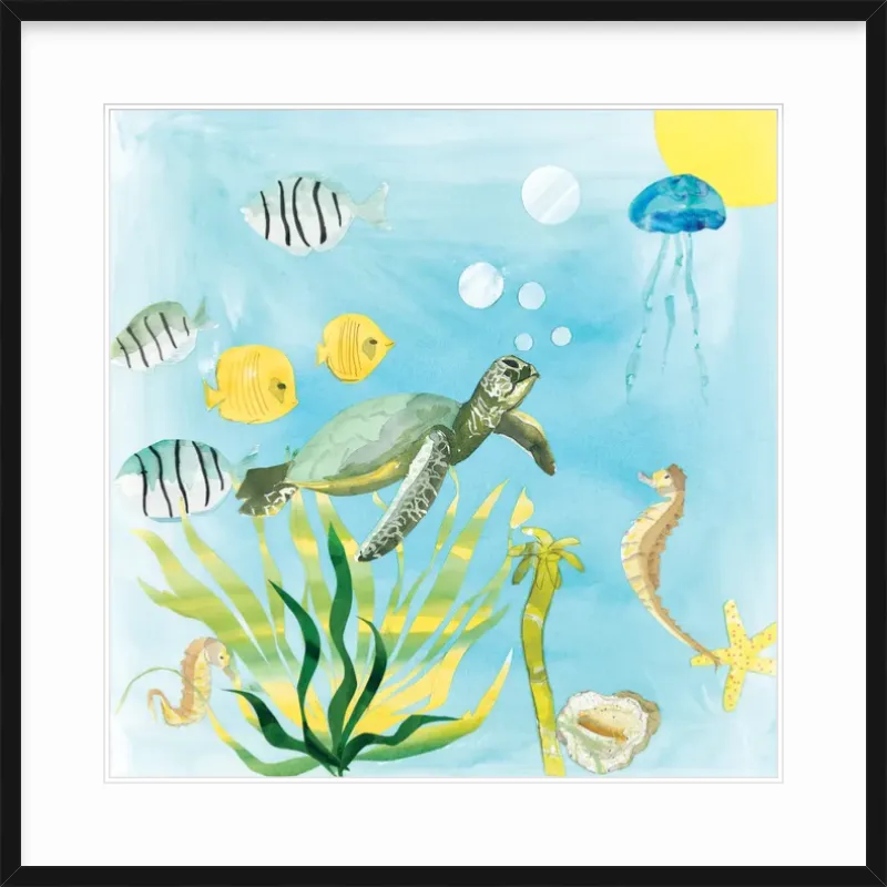 Turtle Time